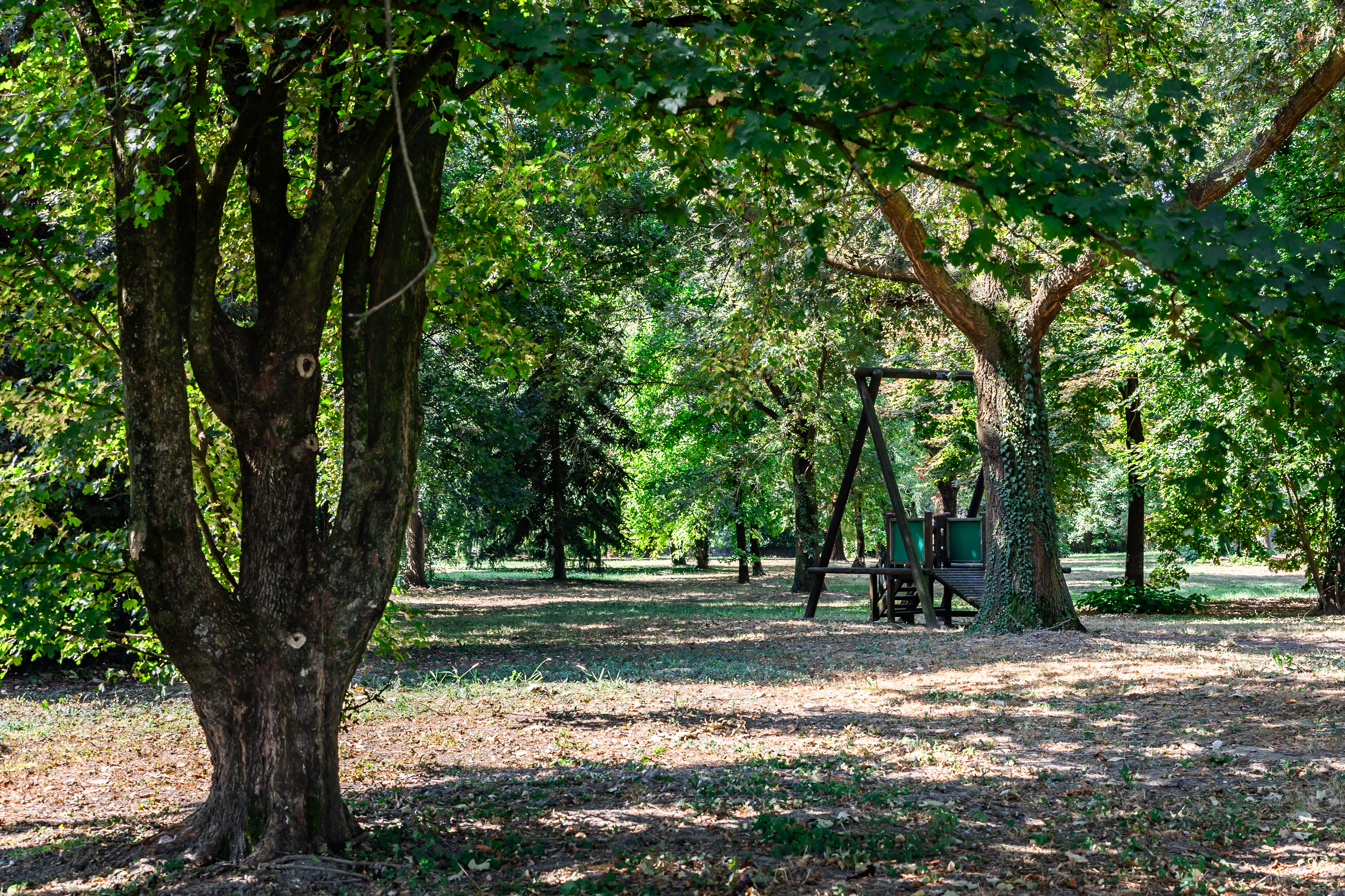 Bosco Urbano