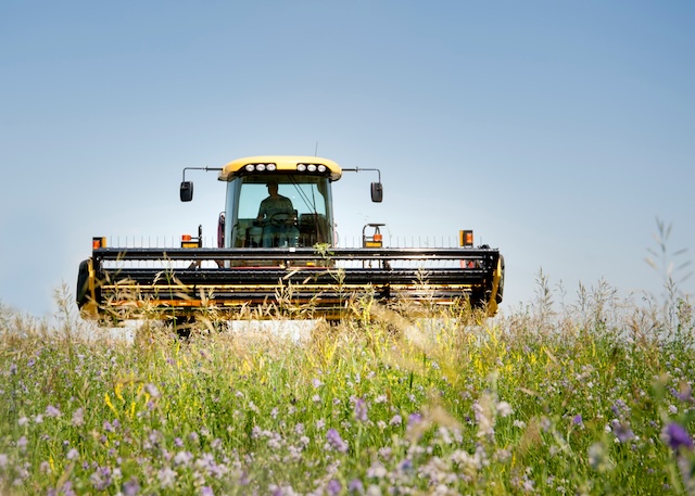 Consulta per l'Agricoltura: via libera all’unanimità del Consiglio comunale