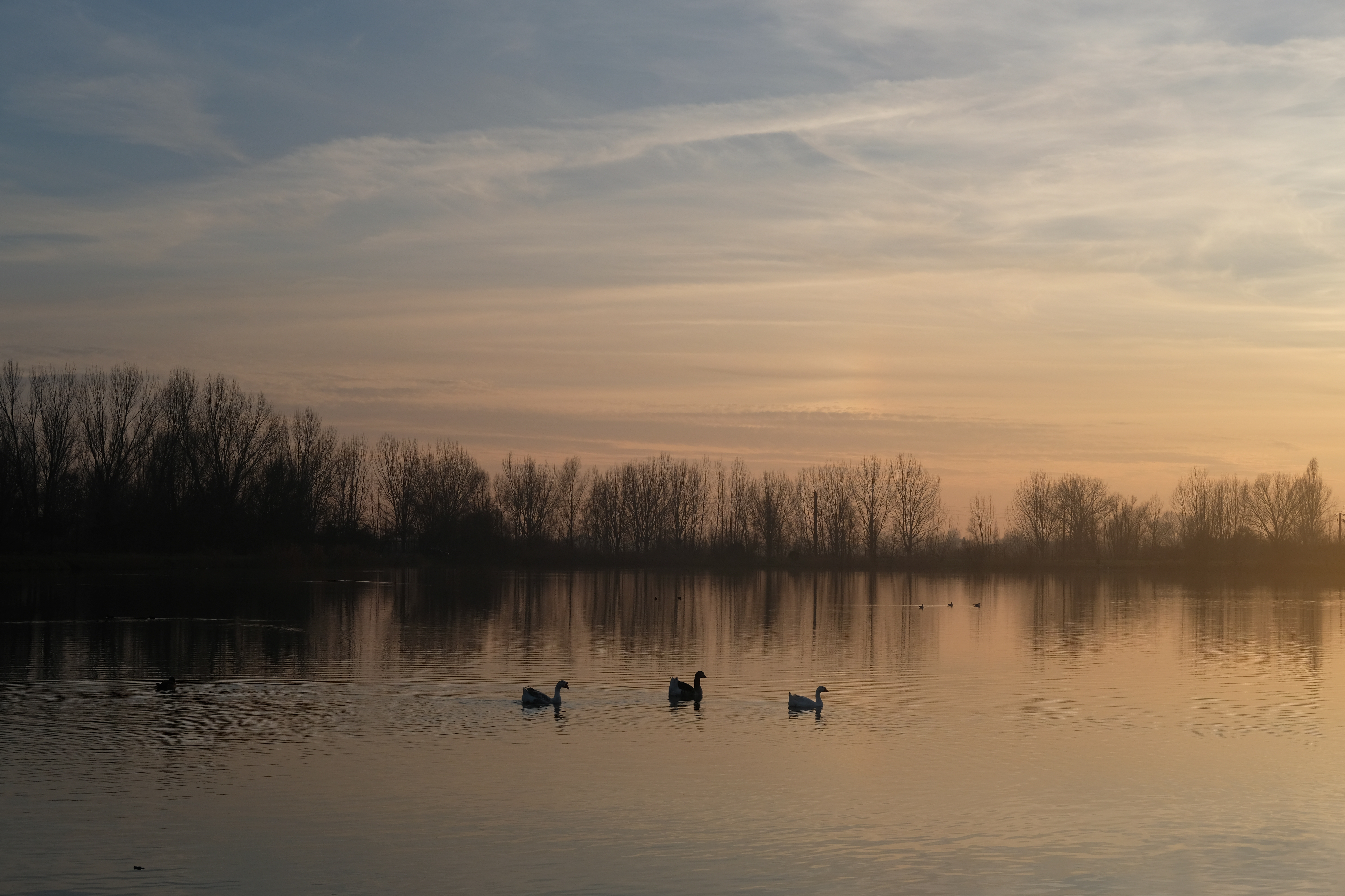 Laghi Margonara